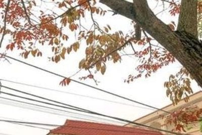 THÔNG BÁO DỰ KIẾN CHỈ TIÊU TUYỂN SINH NĂM HỌC 2022 – 2023