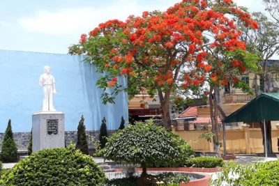 THỦ KHOA KHỐI A1 NĂM 2020 CỦA TỈNH NAM ĐỊNH