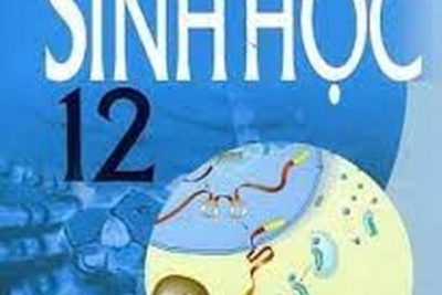 ĐỀ THI CỤM NAM TRỰC – BÁN KỲ 2 NĂM HỌC 2020 – 2021 MÔN SINH HỌC 12